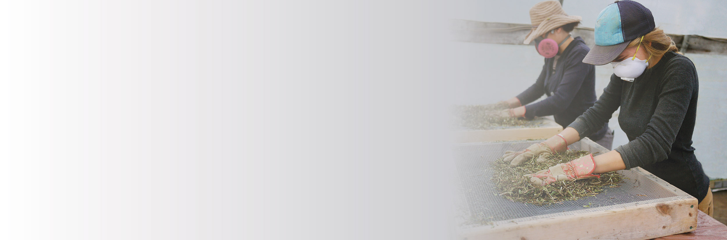 AARM Banner