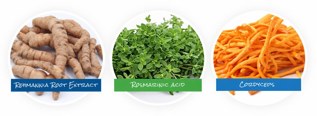 3 Powerful Ingredients to Stabilize Immune Cells